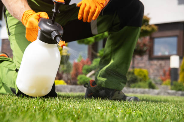 Insect Control in Norwood, OK