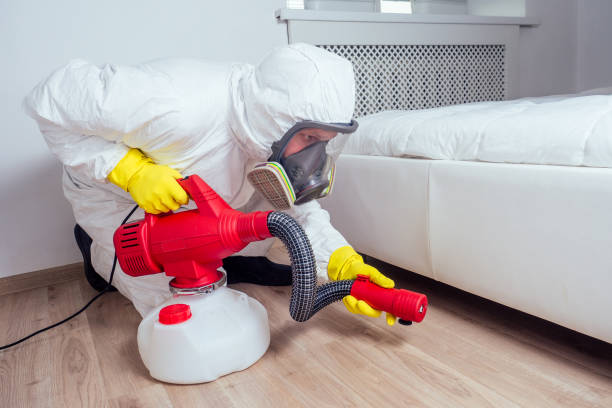 Best Affordable Pest Control Services  in Norwood, OK