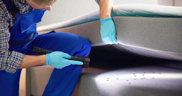 Best Bed Bug Extermination  in Norwood, OK