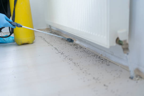 Best Exterminator Services  in Norwood, OK
